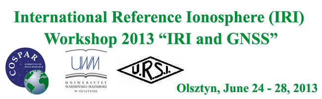 IRI Workshop 2013