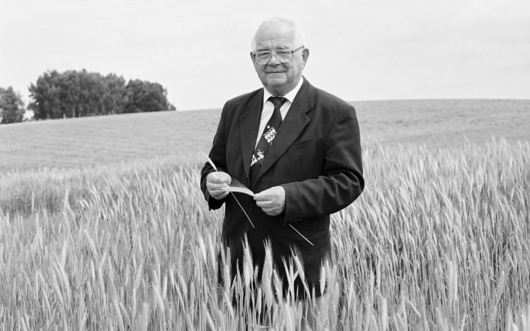 prof. Mazur wśród zbóż na polu