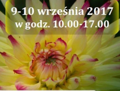 plakat V Olsztyńskiej Wystawy Dalii