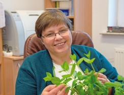 Prof. Anna Wójcik
