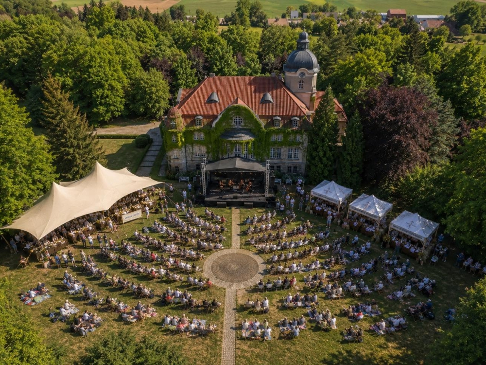 wizualizacja AI - piknik przed pałacem w łężanach