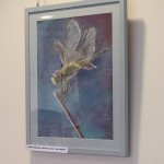 999D7C4F-0322-4843-B7D9-F0367712FAD9