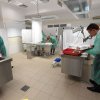 Sobota: Test praktyczny w Katedrze Anatomii