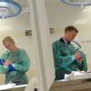 Sobota: Test praktyczny w Katedrze Anatomii