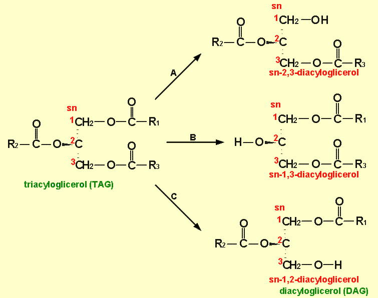 Reakcje hydrolizy