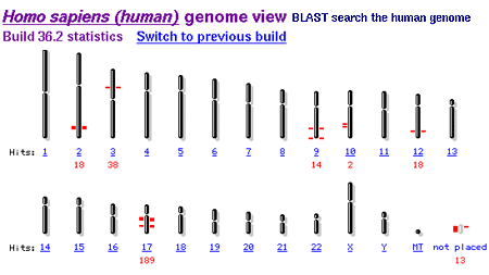 human genes implicated in breast cancer