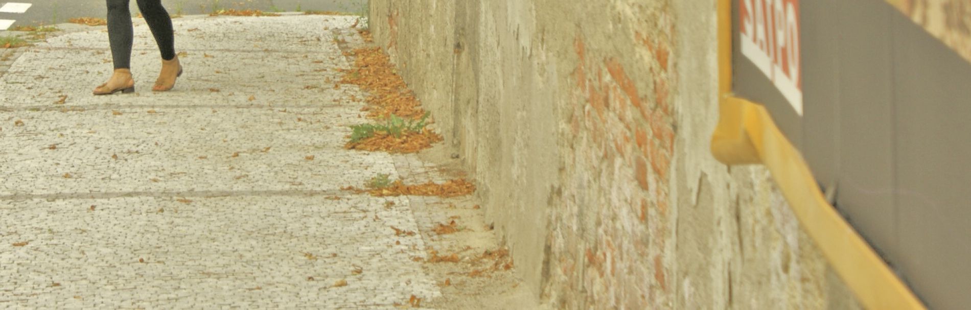 ROZEZNANIE CENOWE NA PEŁNIENIE FUNKCJI PRELEGENTA