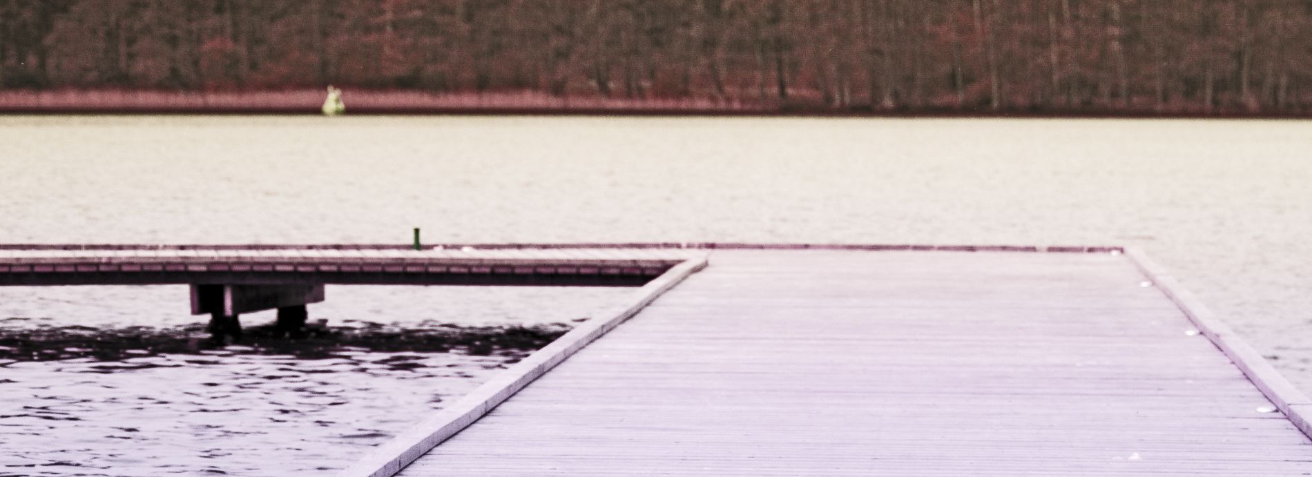 Międzynarodowa Konferencja 