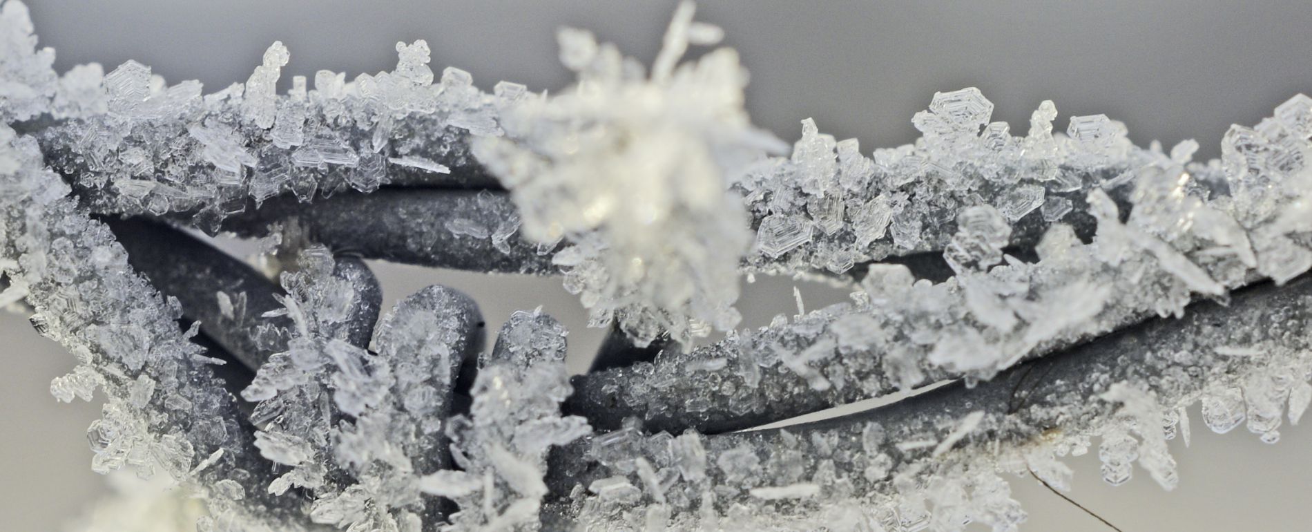 KONFERENCJA INFORMACJA – TRENDY – DESIGN, Olsztyn, 10.12.2015