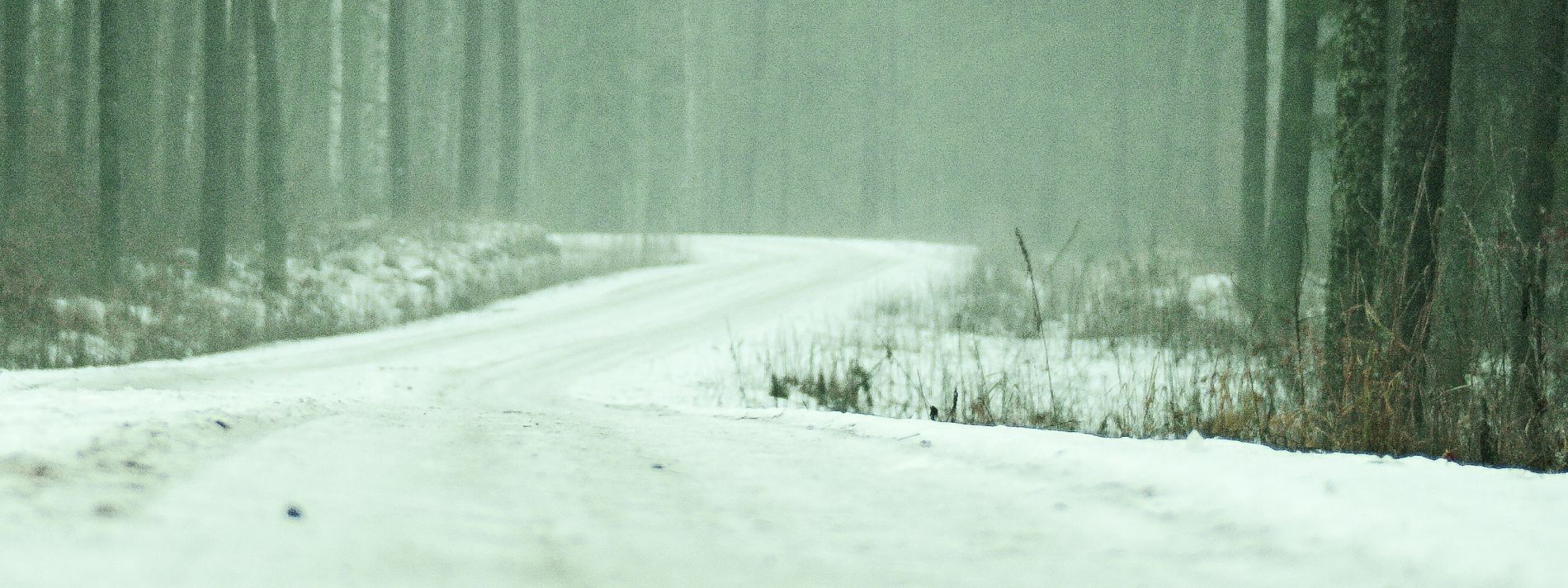 ROZEZNANIE CENOWE NA WYKONANIE I DOSTAWĘ MATERIAŁÓW PROMOCYJNYCH
