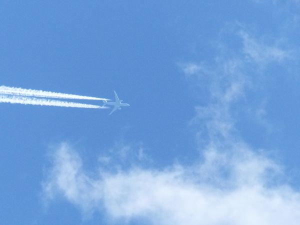 ZAPYTANIE OFERTOWE DOT. PRZYGOTOWANIA RECENZJI PUBLIKACJI/KSIĄŻKI PT. ANALIZA I KREOWANIE TRENDÓW. RAPORT Z BADAŃ