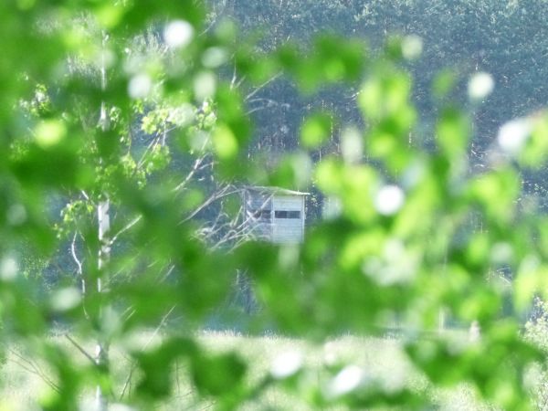 ROZEZNANIE CENOWE NA WYKONANIE BANERA I FLAGI