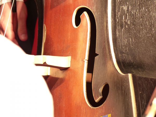 ROZEZNANIE RYNKU NA DRUK ULOTKI