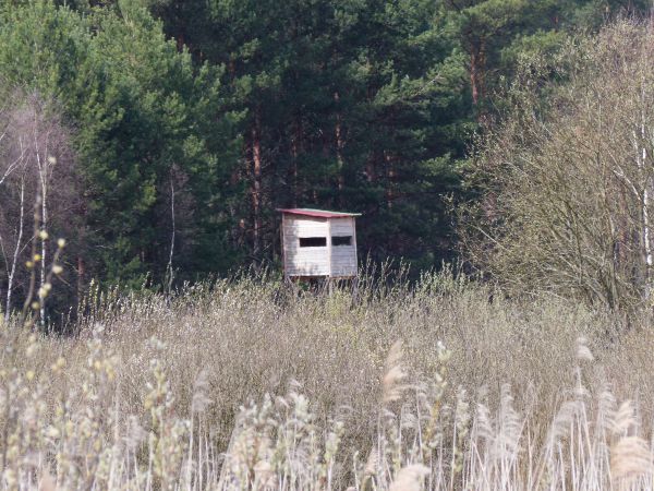 ROZEZNANIE CENOWE NA PRZYGOTOWANIE PROJEKTU, WYKONANIE I DOSTARCZENIE DO ZAMAWIAJACEGO KOSZULEK