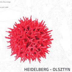 Heilderberg - Olsztyn