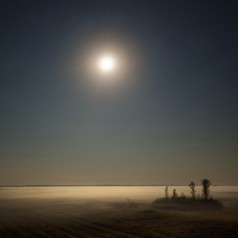 Emocje, uczucia i nastroje natury. Wojciech i Iwona Gotkiewicz - fotografia