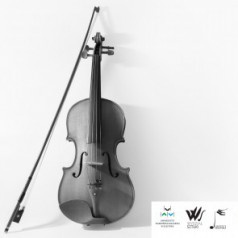 koncert studentów skrzypiec